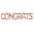 Congrats Letter Balloon Banner | Gold | Silver | Rose Gold | Pink | Blue