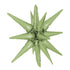 Olive Green Starburst Starburst All In One Foil Balloon | 22 Inch | Air Fill Only