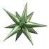 Satin Olive Green Starburst Foil Balloon | 27 Inch and 40 Inch | Air Fill Only