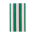 Pink & Green Cabana Striped Paper Napkins | 10.75 Inch | Package 8 (Copy)