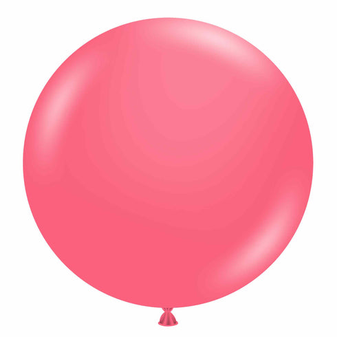 Taffy Coral | 17 INCH | Tuftex Latex Balloons | Package 6