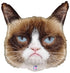 Grumpy Cat Foil Balloon 18 IN