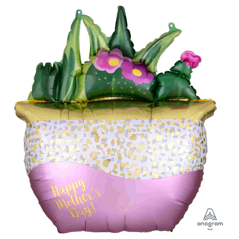 Mother's Day Balloons | Succulent Potted Plant | 26 INCH