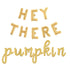 Hey There Pumpkin Letter Balloon Kit | Gold | Silver