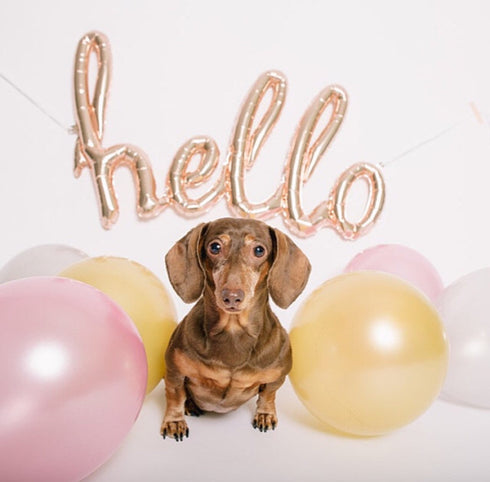 Hello Foil Balloons | Rose Gold | Gold | Silver