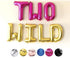 TWO WILD Letter Balloons | Silver | Gold | Rose Gold | Pink | Blue