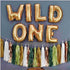 WILD ONE Balloons | Gold | Rose Gold | Silver | Blue | Pink