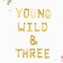 Young Wild & Three Balloons | Silver | Gold | Rose Gold | Pink | Blue