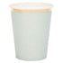 Pastel Blue and Gold Paper Party Cups | Set 12