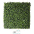 Boxwood Artificial Mat Backdrops | 21" x 21" | Set 12