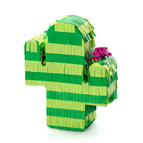 Cactus Pinata