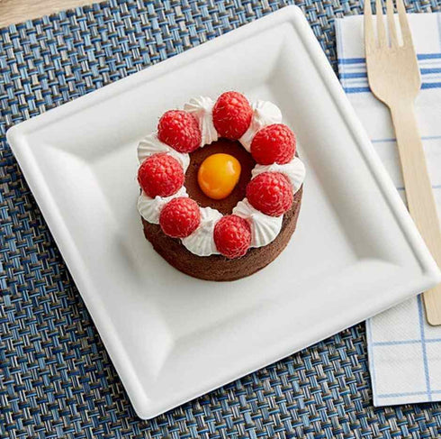 Compostable Bagasse Eco Paper Plates | 6 Inch | Package 8