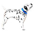 Blue Dalmatian Puppy Dog Balloon | 35 INCH