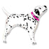 Pink Dalmatian Puppy Dog Balloon | 35 INCH