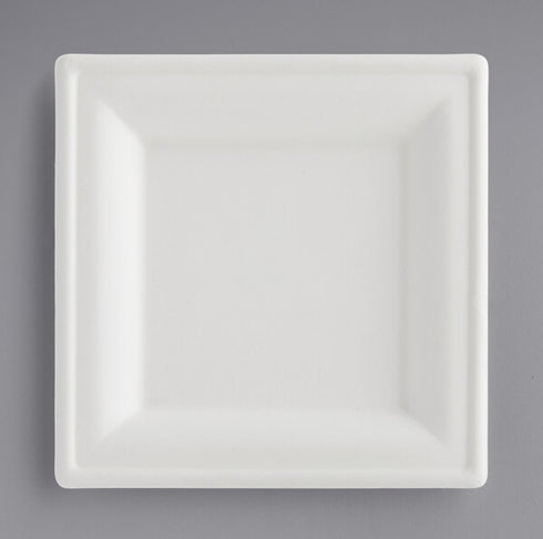 Compostable Bagasse Eco Paper Plates | 6 Inch | Package 8