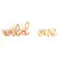 WILD ONE Letter Balloon Banner | Gold | Rose Gold | Silver