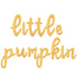 Little Pumpkin Script Letter Balloon Kit | Silver | Gold | Rose Gold