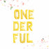 ONEderful Letter Balloons | Silver | Gold | Rose Gold | Pink | Blue