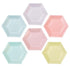 Pastel Hexagon Shaped Paper Plates | Package 12