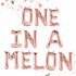 One In A Melon Birthday Balloons | Silver | Gold | Rose Gold | Pink | Blue