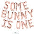 Some Bunny Is One Letter Balloons | Silver | Gold | Rose Gold | Pink | Blue
