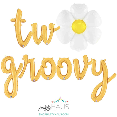 Two Groovy Daisy Party Balloon Banner l Silver l Gold l Rose Gold