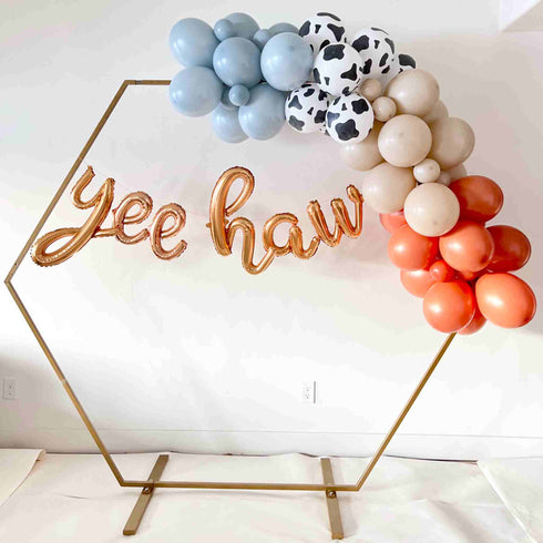 Yee Haw Rodeo Party Balloon Garland Kit