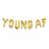 Young AF Balloon Banner | Silver | Gold | Rose Gold | Pink | Blue